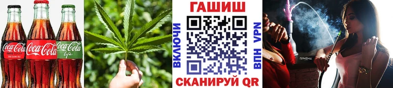 где купить наркоту  Тогучин  гидра сайт  Cannafood марихуана 