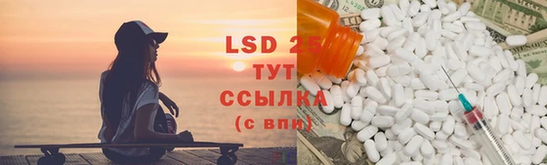 PSILOCYBIN Алзамай